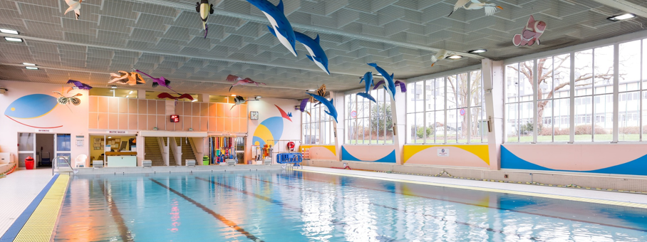 Illustration du service Natation Sportive